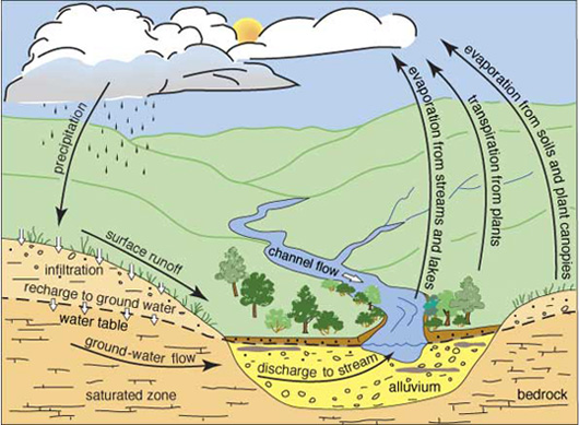Diagram of the Water Cycle